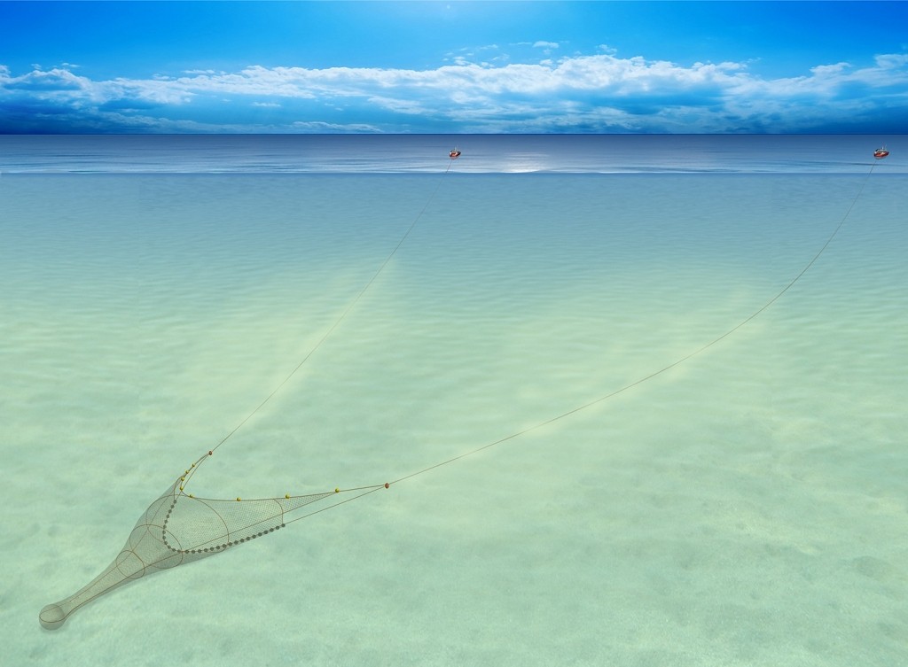 Two vessels simultaneously towing a large net