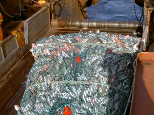 A T90 Cod-end haul on board vessel