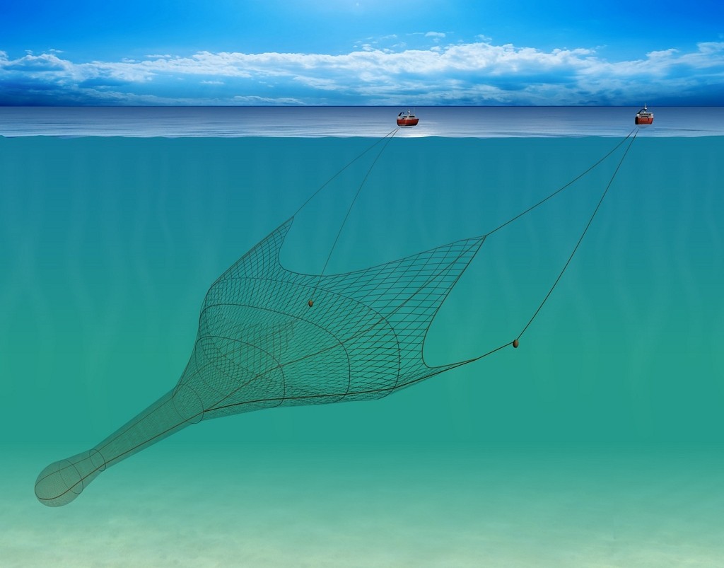 A large pelagic trawl being towed by two vessels