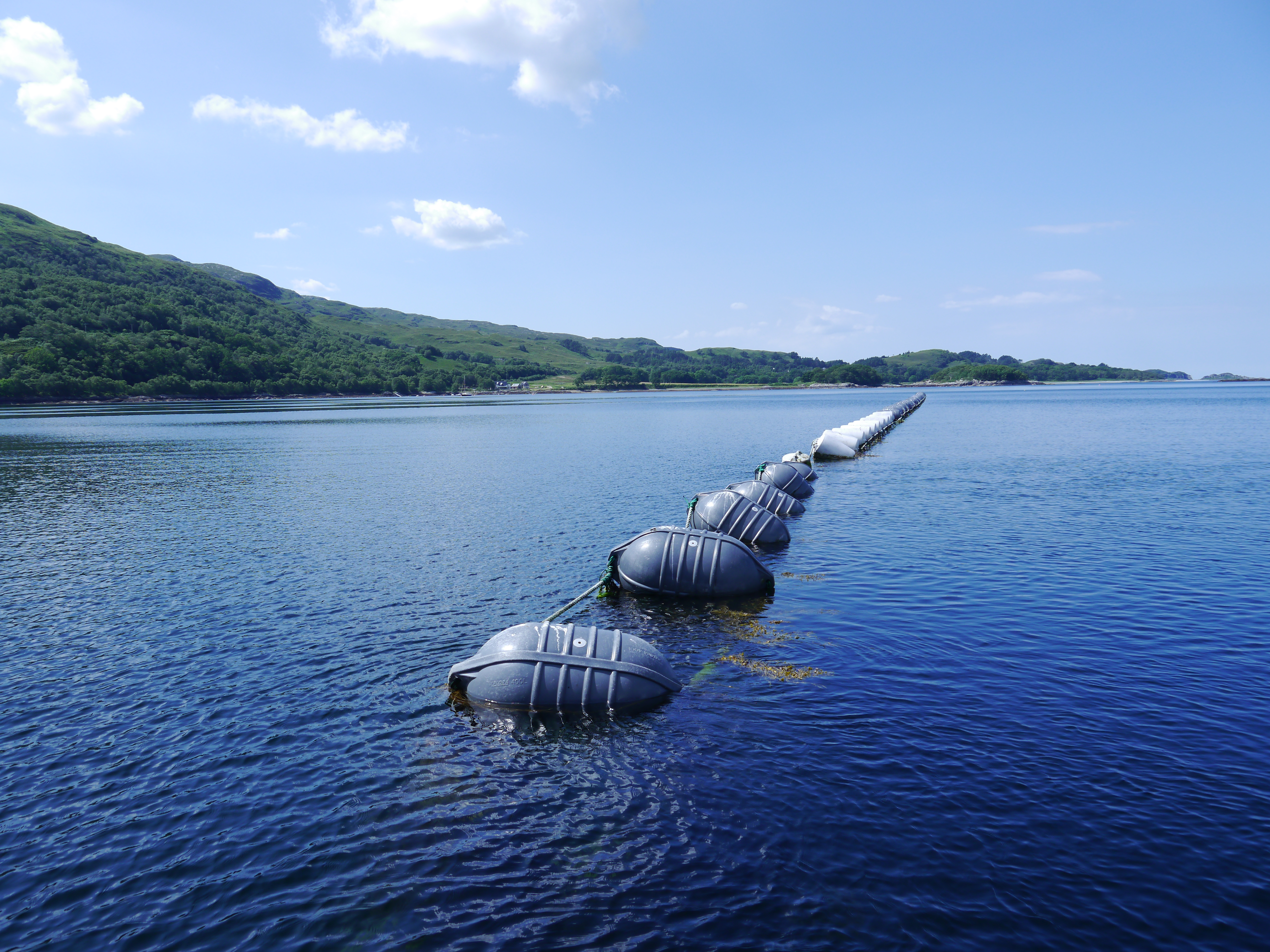 photo of floating gear in water with shore in the background