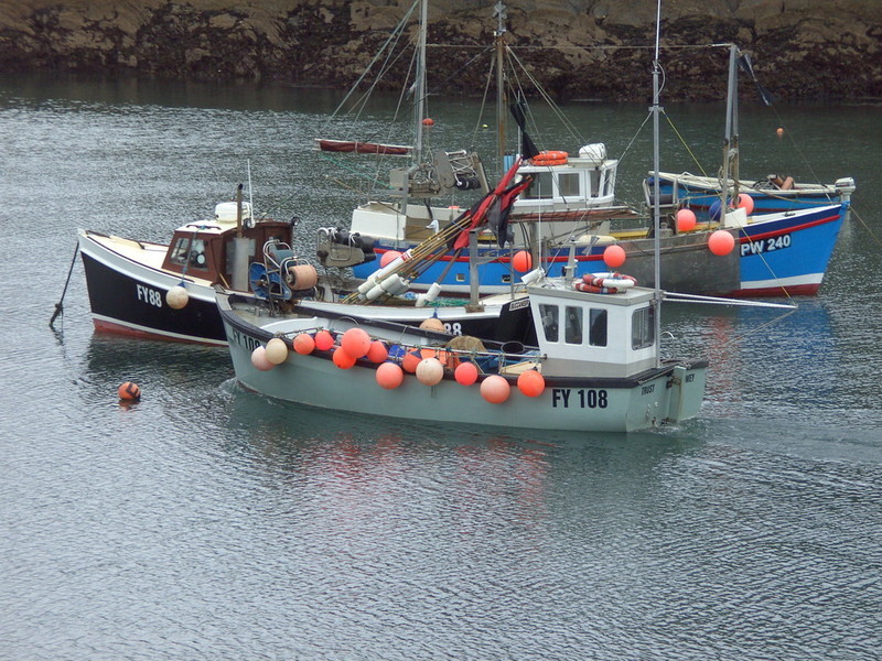 Photo of four small fishing vessels in a harbour.