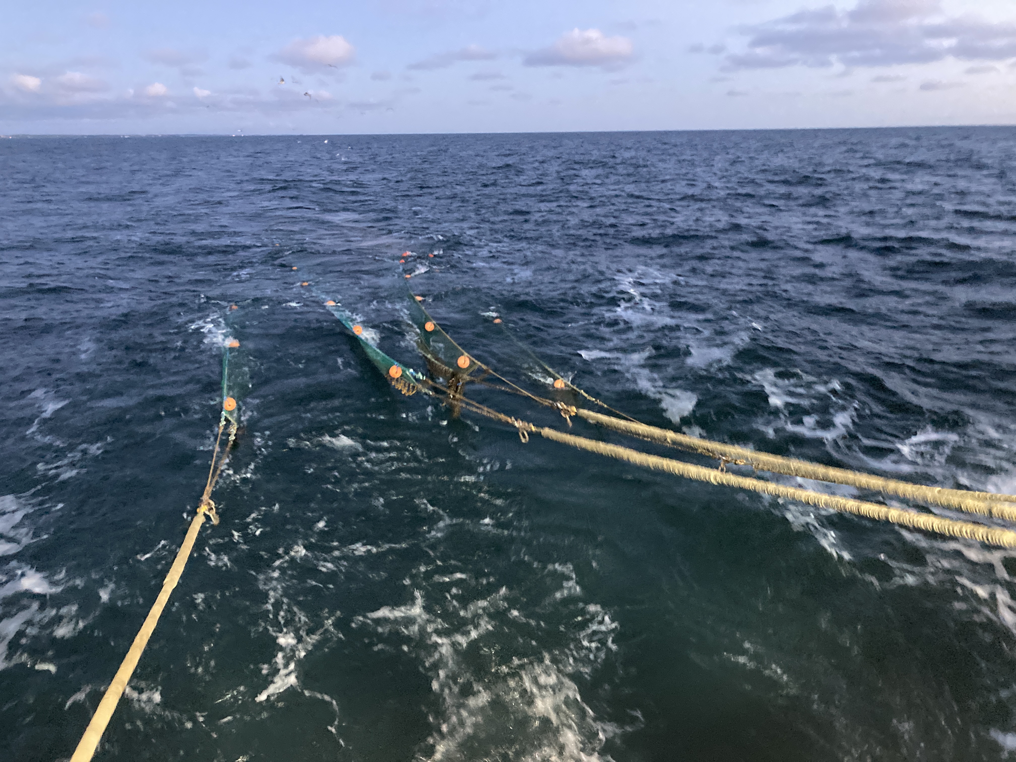 Fishing nets cast in to open water.