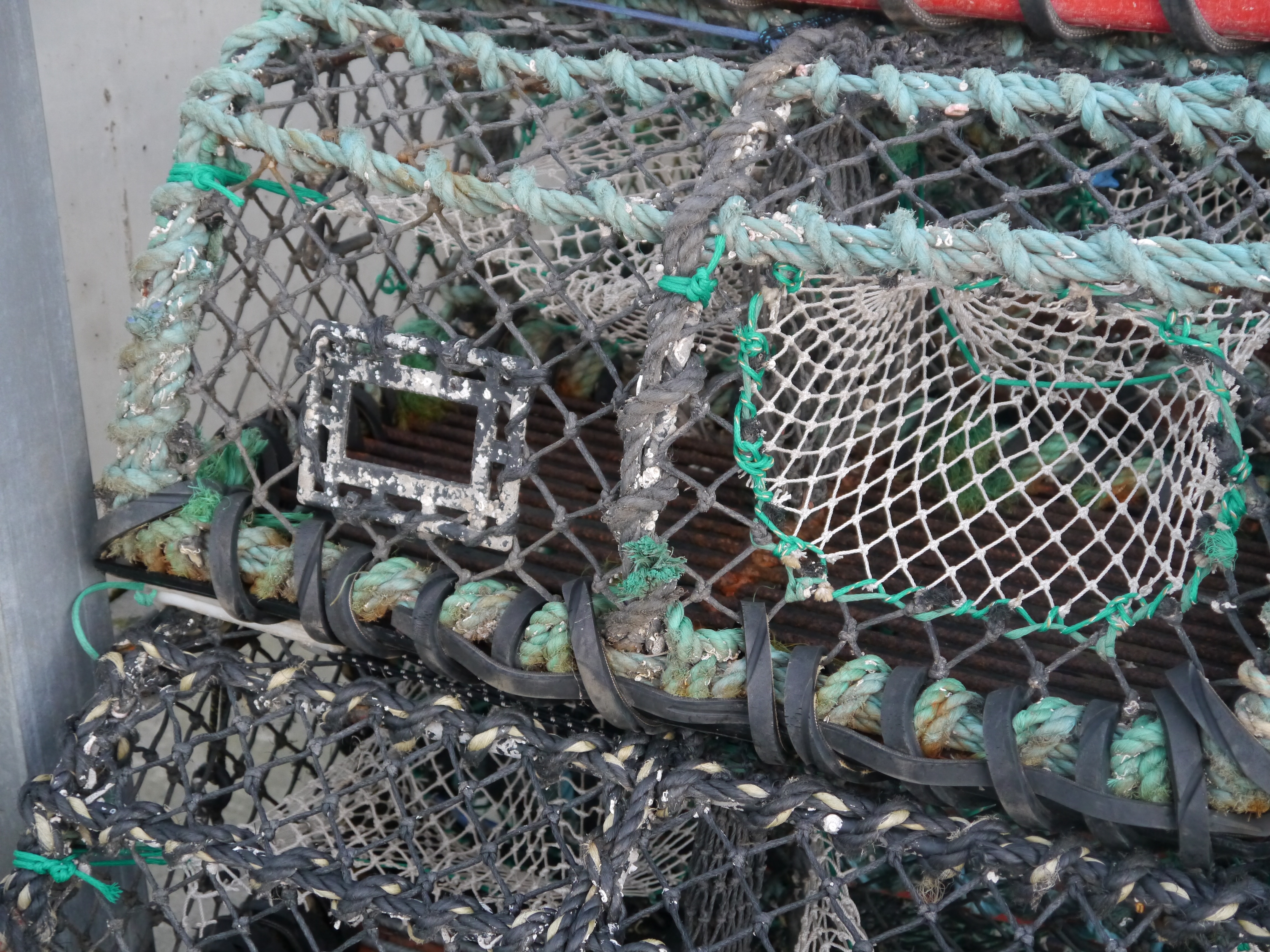 Lobster pot fitted with a square escape gap