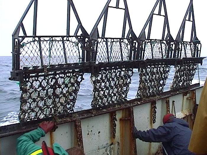 Four dredges suspended in the air alongside the fishing vessel