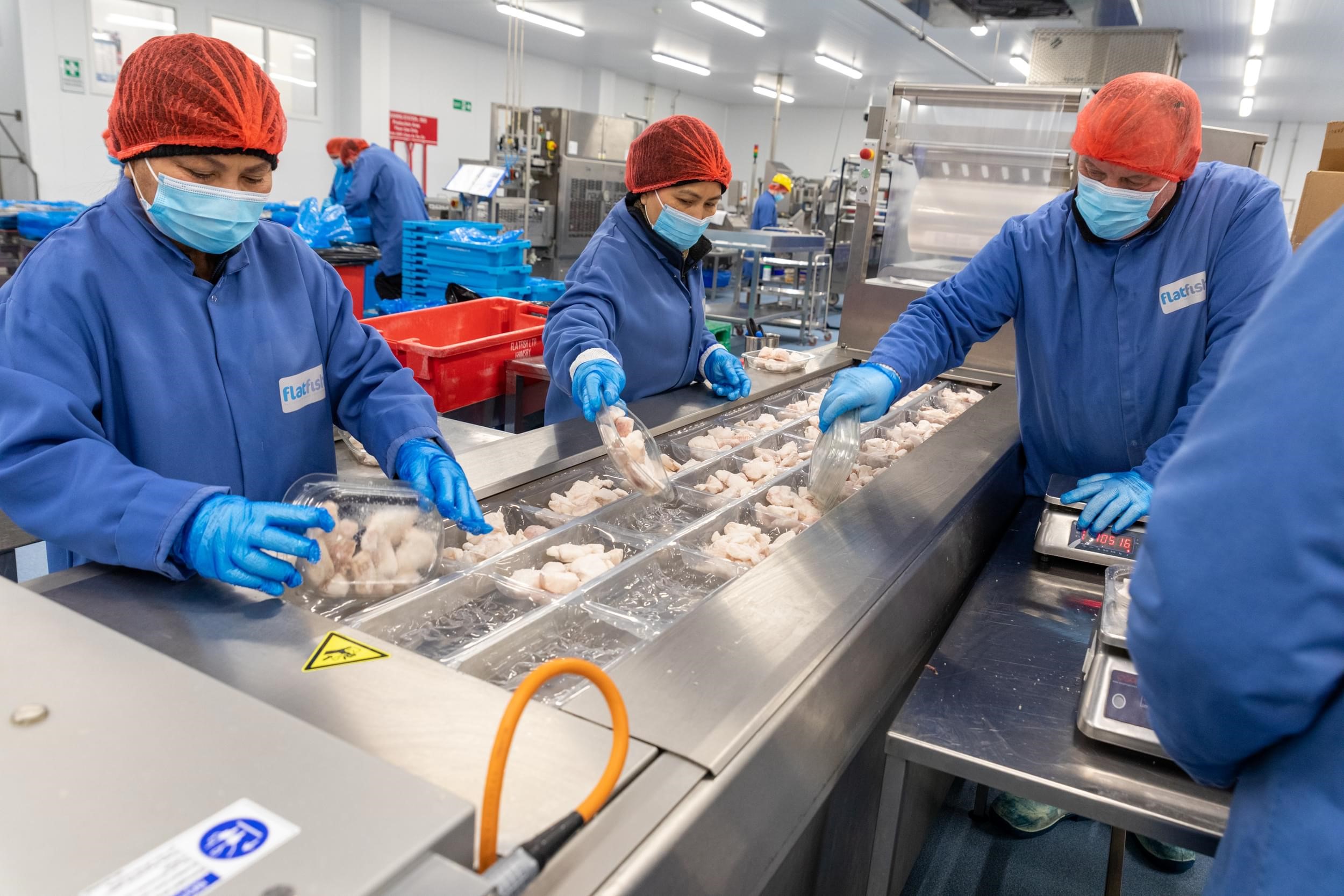 a group of people working in a processing factory