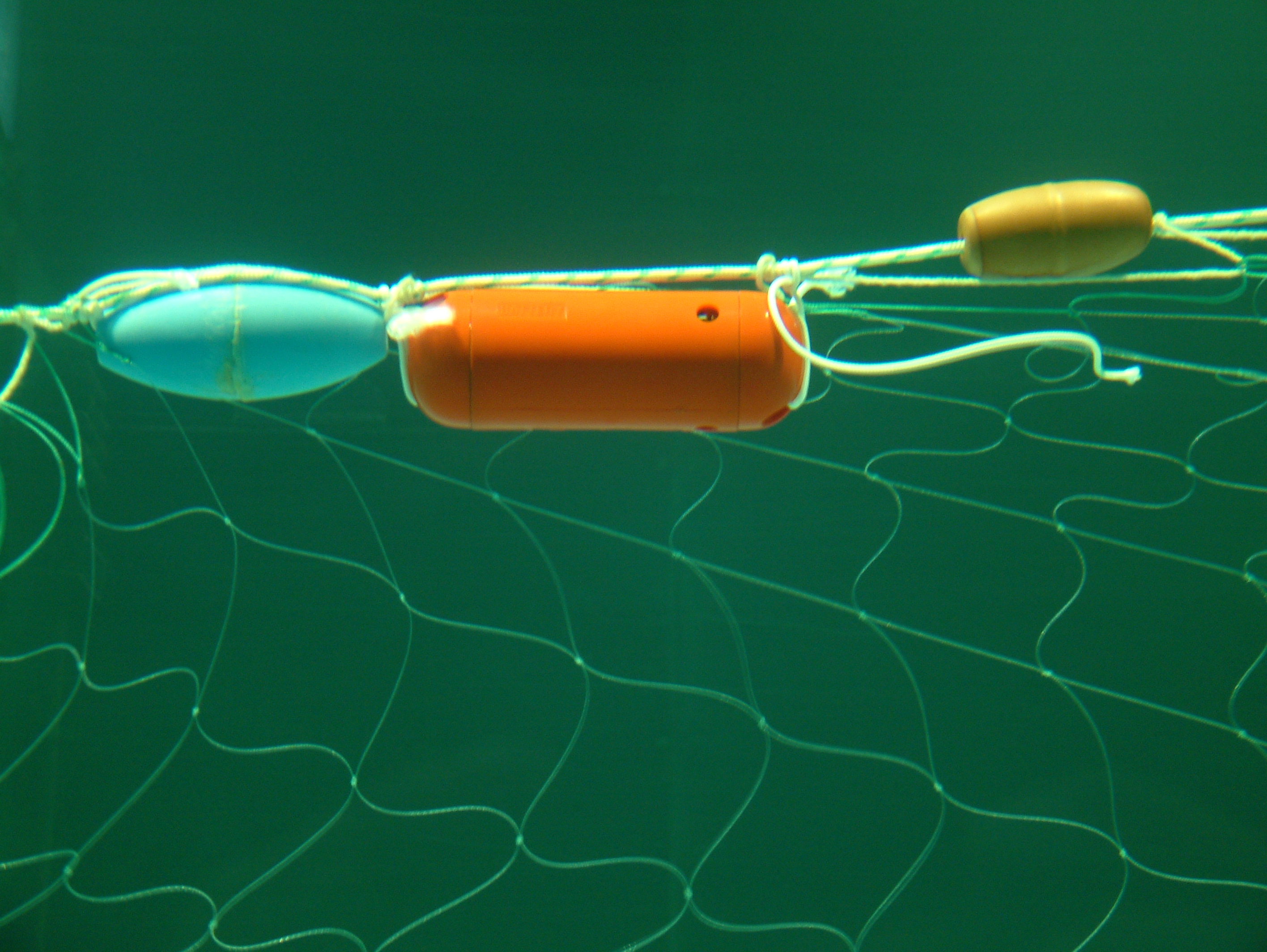 An acoustic 'pinger' attached to a gill net at the top of the head rope