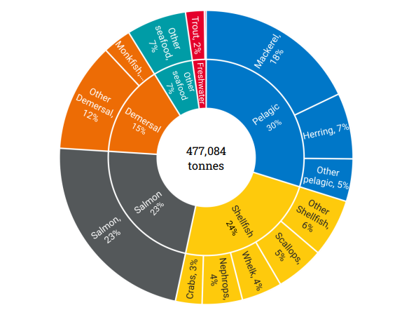 Graph shows top exported species as proportion of total export volume YE June 2024.