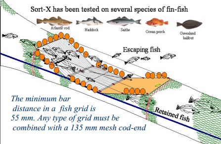 A Sort X grid comprising of vertical small bars allowing small fish to escape through the gaps and larger fish directed to cod-end