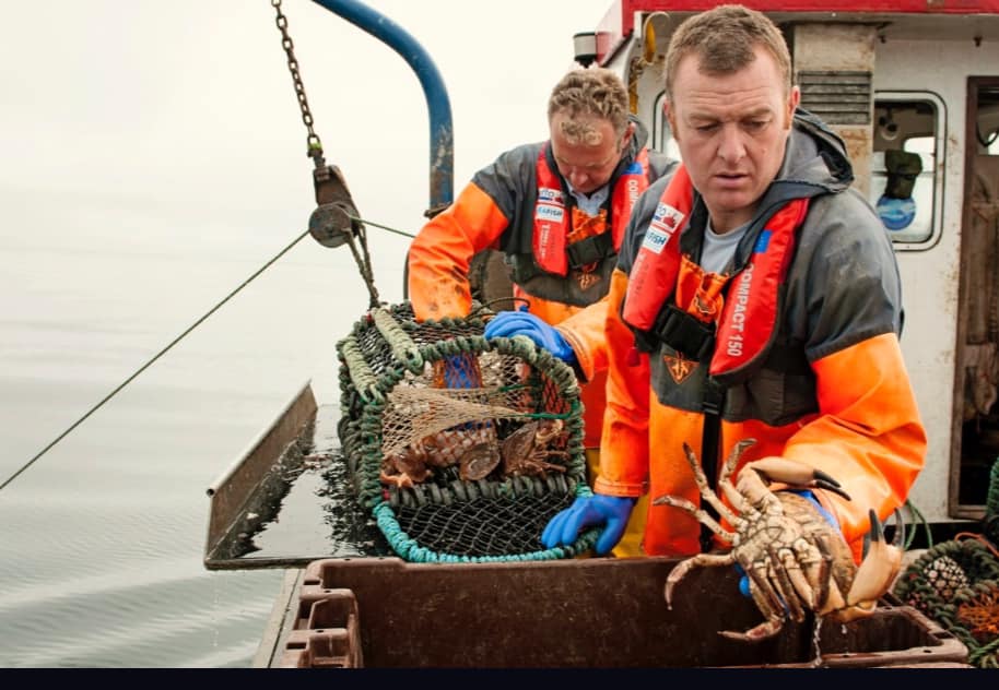 Two men on a fishing bringing a crab trap over the side of their boat.