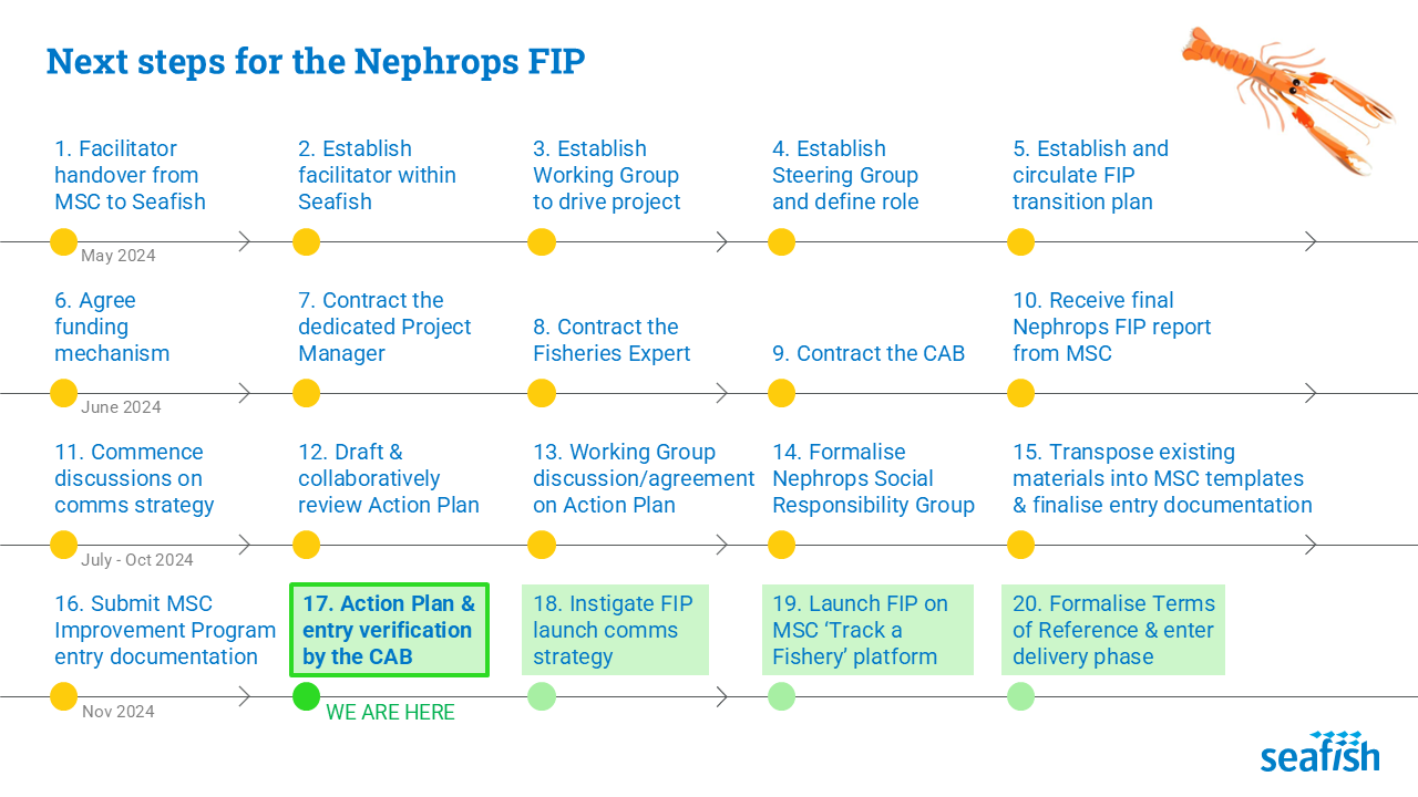 Diagram showing the Nephrops fisheries improvement project timeline.