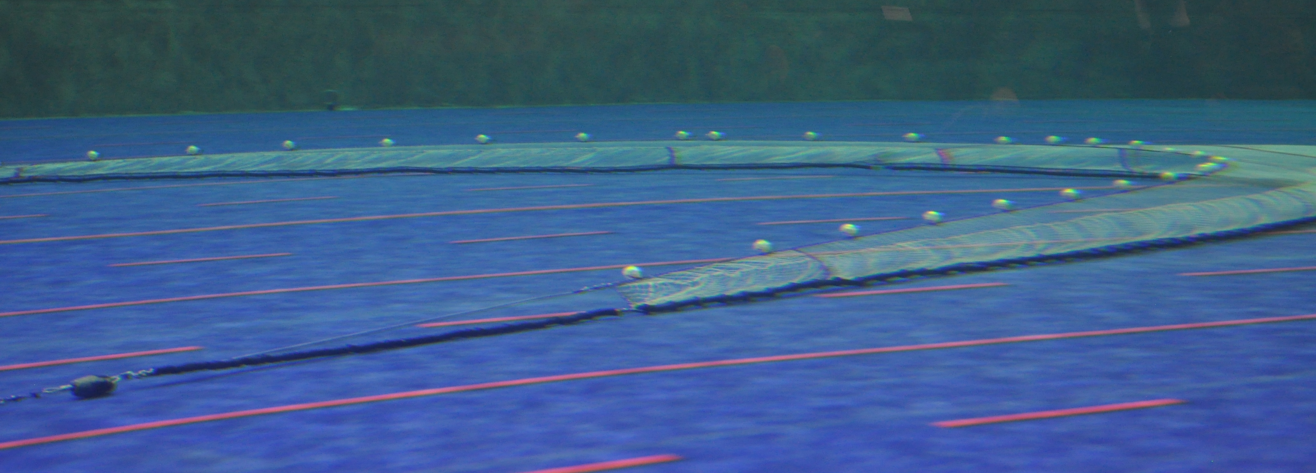 A prawn trawl in a flume tank with a low headline height