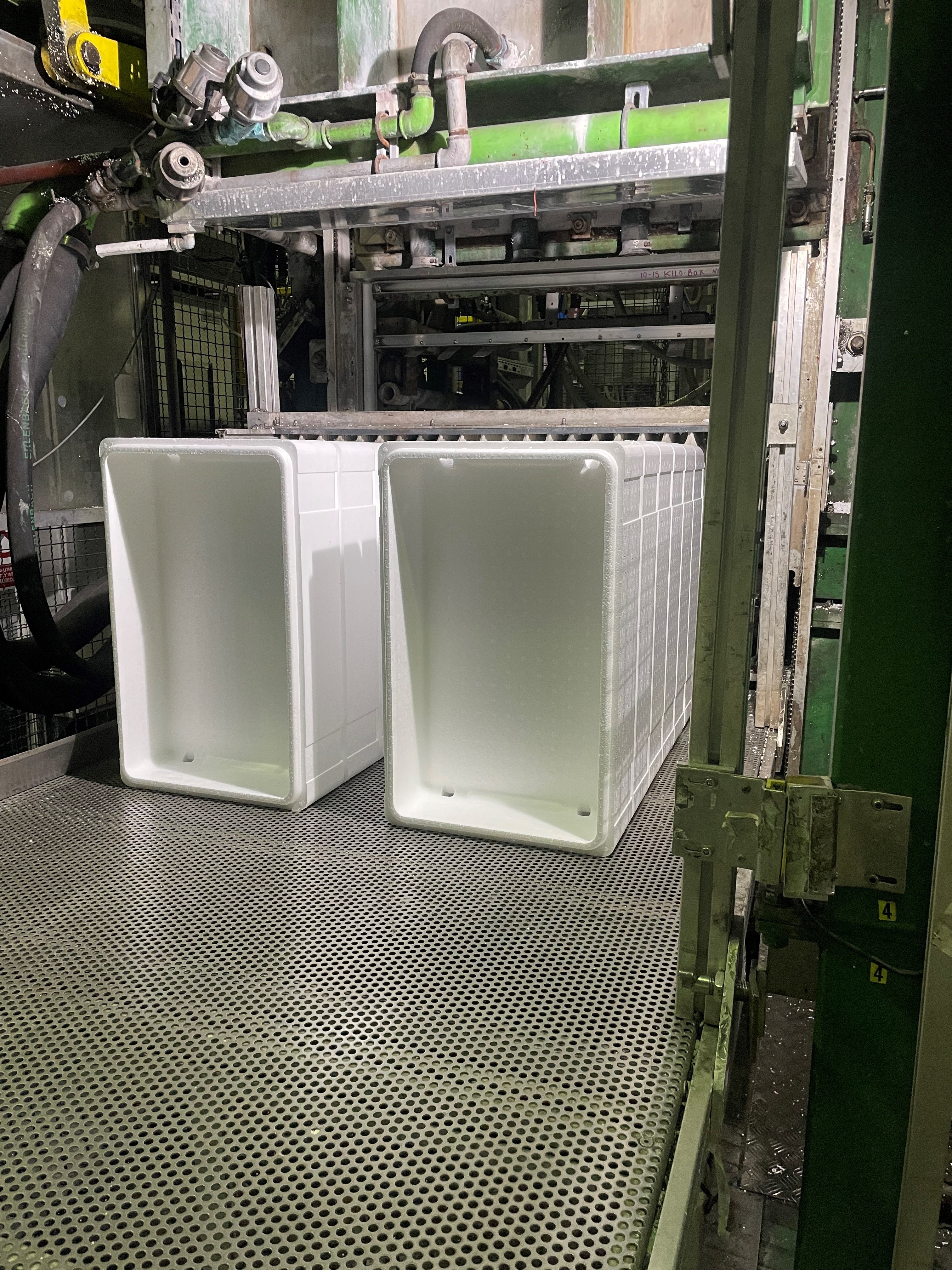 polystyrene boxes on a production line.