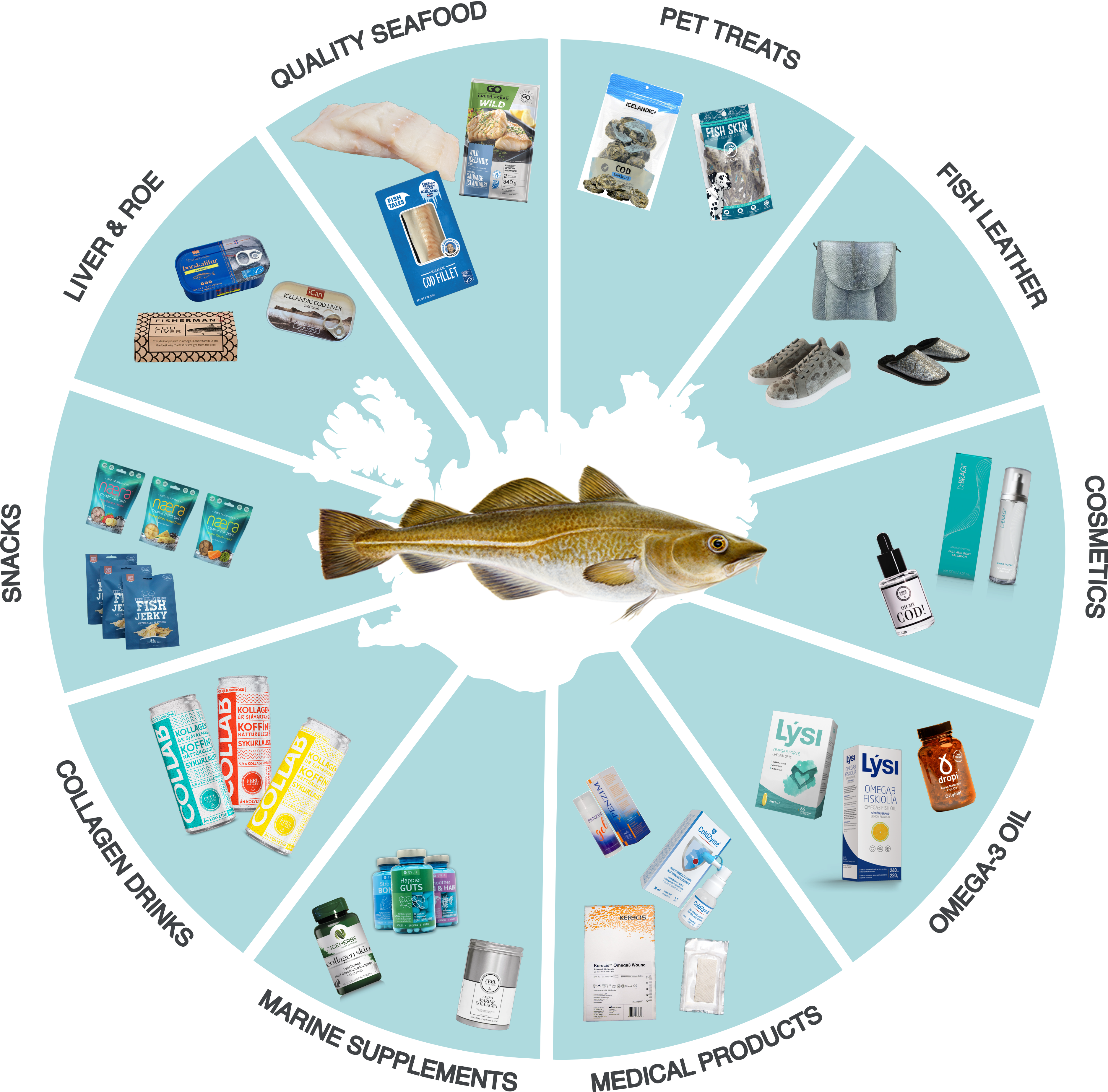 Graphic showing the circular economy of a cod.